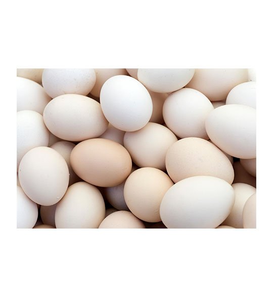 EGGS