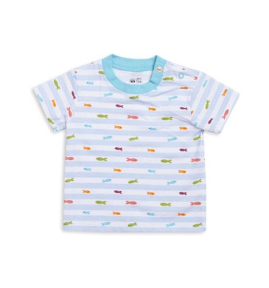 Boys Printed Cotton T Shirt  (Multicolor, Pack of 1)